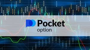 Pocket Option Contacts Your Guide to Effective Communication